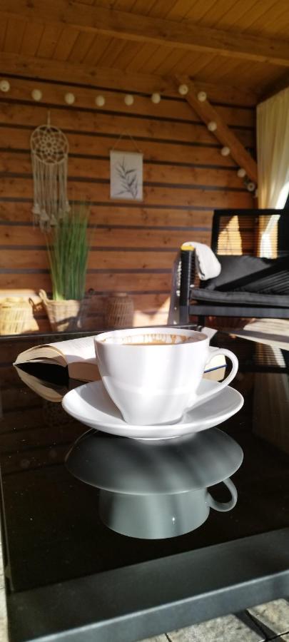 Uroczy Zakatek Apartment Tylicz